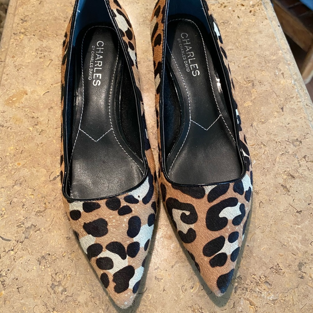 David Charles Heels - Picture 5 of 7